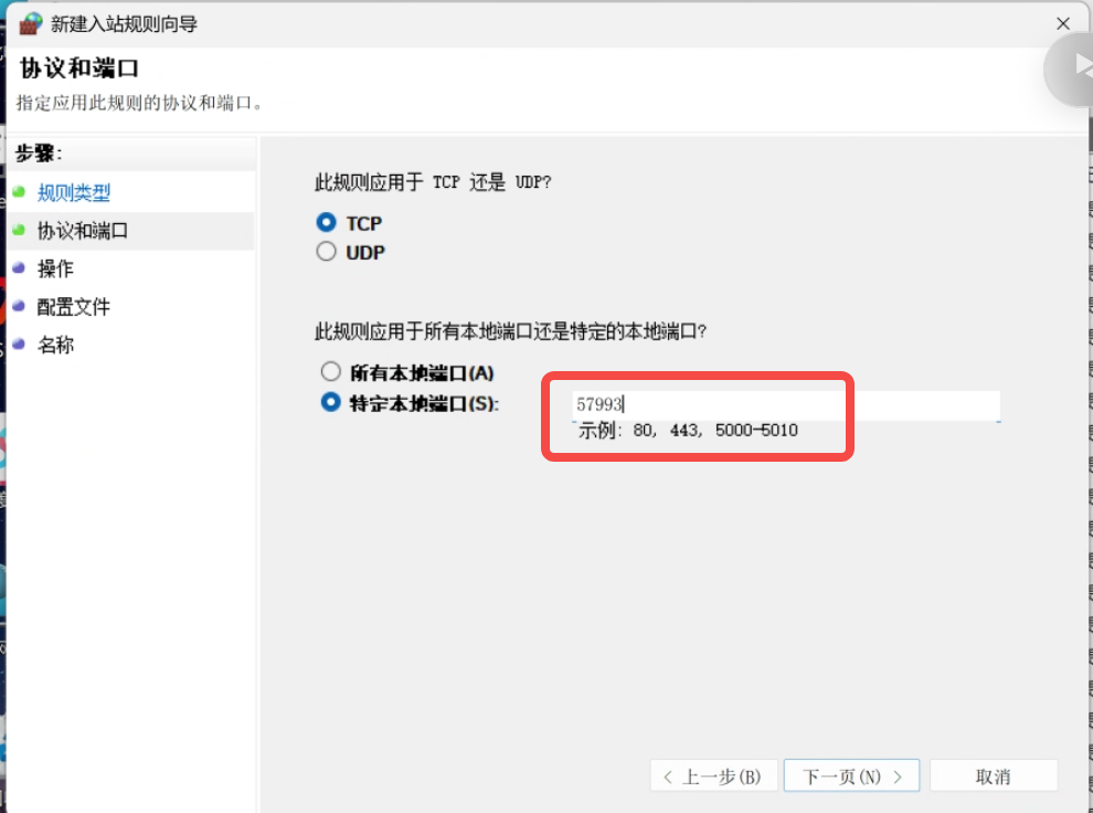 协议选 TCP 并填写协作端口